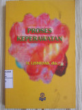 Proses Keperawatan