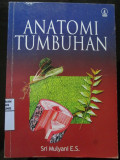 Anatomi Tumbuhan