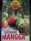 Bertanam mangga