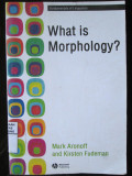 What is Morphology?