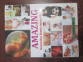 Amazing Kehamilan Bunda dalam 9 Bulan