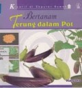 Bertanam Terung dalam Pot