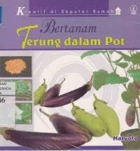 Bertanam Terung dalam Pot