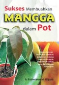 Sukses Membuahkan Mangga dalam Pot
