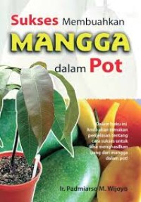 Sukses Membuahkan Mangga dalam Pot